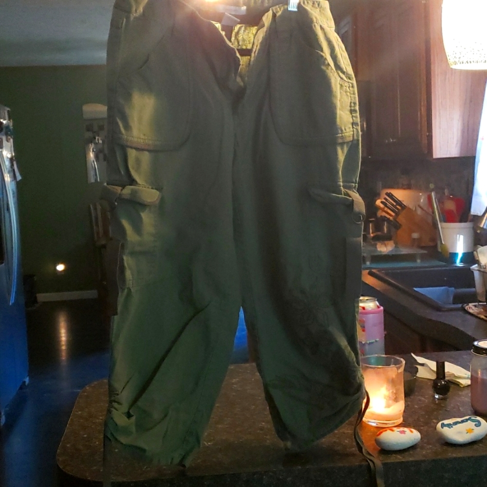 Dress barn womems shorts